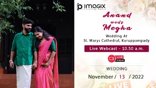 ANAND weds MEGHA  WEDDING LIVE STREAMING  13  11  2022  1050 AM [upl. by Ahsinam306]