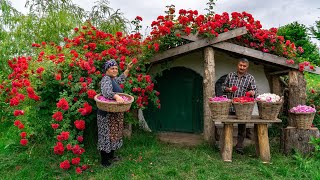 🌹 Traditional Rose Jam Homemade Recipe from Fresh Roses [upl. by Eppes]