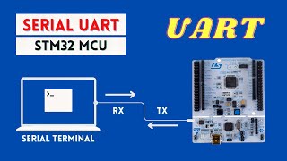 Serial UART with STM32 MicrocontrollerTransmit and Receive Data [upl. by Aek957]