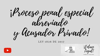 PROCEDIMIENTO ABREVIADO ACUSADOR PRIVADO [upl. by Laaspere]