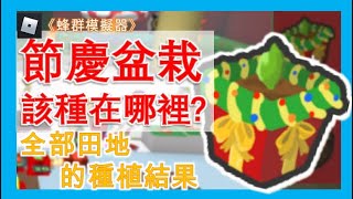 種在哪裡可以獲取神話蛋節慶盆栽種在全部田地的結果統整節慶盆栽到底該種在哪裡Roblox🐝蜂群模擬器🐝 [upl. by Leitman937]