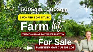 Farm lot For Sale  Paligawan Silang Cavite near Tagaytay City investment [upl. by Galvan]