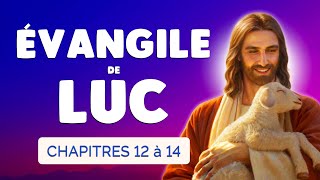 Évangile de Luc 🙏 Nouveau Testament Bible en Livre Audio  Luc chapitre 12 à 14 [upl. by Nahbois112]