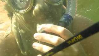 Snorkeling with vintage divers hood [upl. by Dranoel]