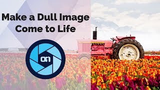 How to Make a Dull Image Come to Life [upl. by Ednihek]