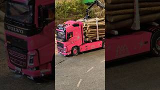 Faszination Modellbau Messe Friedrichshafen  RC Timber Truck [upl. by Brynna]