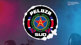 SUD STEAUA  Și de câinii erau în gară [upl. by Yetty]