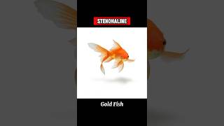 STENOHALINE stenohaline  WHAT IS STENOHALINE ORGANISM shortsviraltrending [upl. by Nerok]