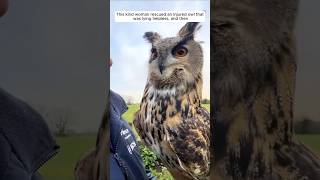 This kind woman rescued an injured owl that was lying helpless and then animalshorts [upl. by Enaej]