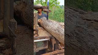 KERAS KAYU JATI KERING‼️Di Gergaji Bandsaw Rakitan [upl. by Damarra607]