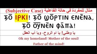 The Nubian Language Society [upl. by Nitsirk]