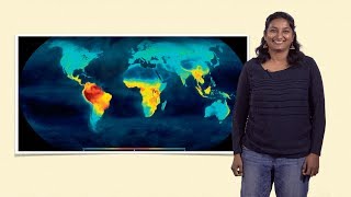 Uma Ramakrishnan NCBS 1 Biogeography Studying the distribution of species across space [upl. by Chiles]