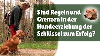 Hundeerziehung ► Sind Regeln und Grenzen in der Hundeerziehung der Schlüssel zum Erfolg [upl. by Trinetta]