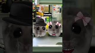 Kaç kişi yaşadı 😂 hamster sadhamster üzgünhamster [upl. by Swanson960]