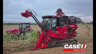 First Day With a New Case IH 9900 Cane Harvester 4K [upl. by Pik]