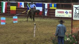 2014 EXCA World Championship Futurity Horse [upl. by Garda]