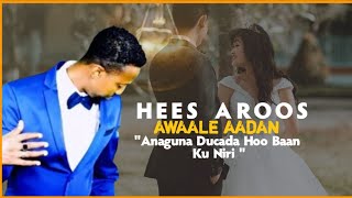 CAWAALE AADAN HEES AROOS HUBQAAD  4k lyrics [upl. by Llenoil160]