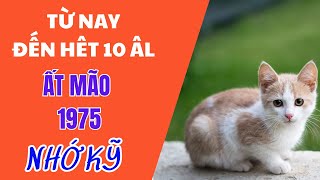 TRẤN ĐỘNG SỰ THẬT tuổi Ất Mão 1975 từ nay đến hết tháng 10 âl kh [upl. by Gosney469]