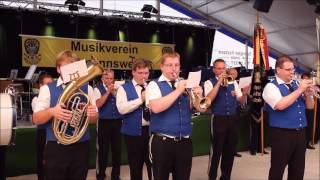 Blasmusikabend Sommerfest Musikverein Baltmannsweiler 24Juni 2017 [upl. by Alyda957]