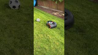 Segway Navimow i110 Obstacle Avoidance using its Vision Fence Camera [upl. by Imiaj]