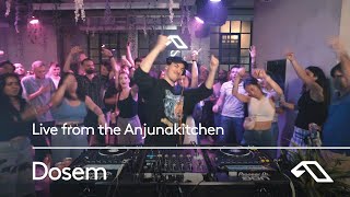 Dosem  Live from the Anjunakitchen Melodic and Progressive House Mix [upl. by Eustasius]