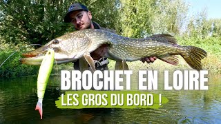 Pêche du brochet dans la Loire  Du bord au Big bait [upl. by Aleetha221]