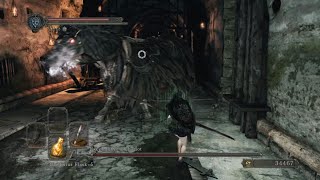 Dark Souls 2  Getting the Chloranthy Ring2 [upl. by Colver258]