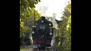 Lößnitzgrundbahn  BÜ Weinbergstraße [upl. by Franckot]