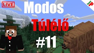 🧙‍♂FŐZZÜNK POTIKAT  Minecraft Modos Túlélő 11  LIVE [upl. by Tatum701]