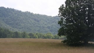 Cades Cove Loop Road [upl. by Dera666]