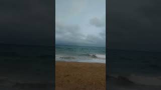 Poemas desde la naturaleza  Barcelona y su Mediterráneo [upl. by Nylrac]