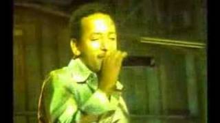 Tamerat ታምራት ደስታ Egan New Mayet [upl. by Leunad751]