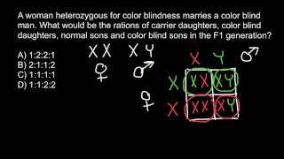 How to solve X chromosome linked genetics problems [upl. by Manson512]