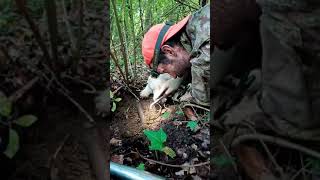 Andare a Tartufi che AVVENTURA la MAGIA della cerca del TartufoBianco con il Lagotto Romagnolo [upl. by Egiarc192]