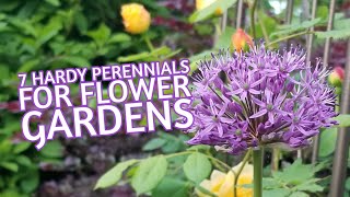 7 Hardy Perennials for Flower Gardens [upl. by Johannessen]