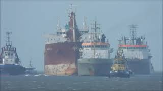 inbound Julietta D Maasmond Calandkanaal Europoort met Tugs Sovereign Manta en Multratug 18 [upl. by Xenophon]