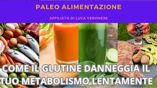 61 Il GLUTINE danneggia il tuo METABOLISMO lentamente ecco perchÃ¨ [upl. by Crist]