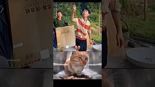 Very good brain🧠😂cat funny explore memes bombastic viralvideo shorts [upl. by Doris]