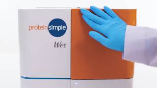 ProteinSimple Wes Simple Western [upl. by Wiburg]