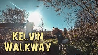 The Kelvin Walkway Milngavie to Glasgow [upl. by Nimocks696]