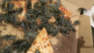 Special Delivery Pizza Roach PRANK [upl. by Derrick926]