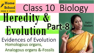 Heredity amp Evolution  class 10 Biology  Evidences of Evolution Part8 [upl. by Pavla]