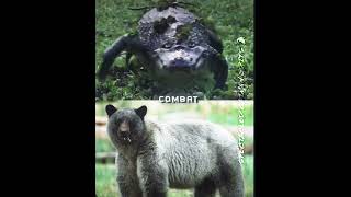 Spectacled Caiman vs Glacier Bear  edit animals caiman BEAR [upl. by Hsina]