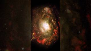 zoom into Circinus Dwarf Galaxy a butiful Big Brite galaxy shorts video trendingshorts [upl. by Notlimah]