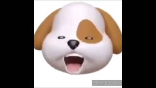 dog barking meme xd meme video xdmeme dog bark funny funnymeme memevideo memes [upl. by Anitserp]