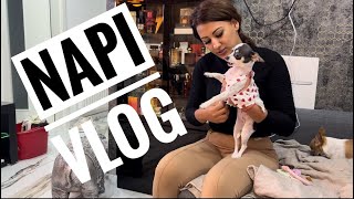 CSÜTÖRTÖKI🏠NAPI🐶VLOG🌦️ Tartsatok velünk 😘 [upl. by Catlee891]