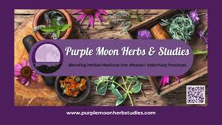 Purple Moon Herbs amp Studies [upl. by Ruckman]