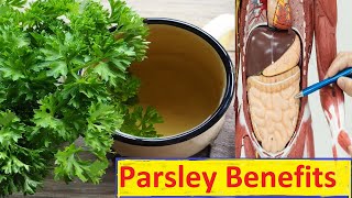 What happens to body when having parsley tea  Surprising Benefits [upl. by Torrell]