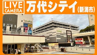 【LIVE】新潟万代シテイ交差点 ライブカメラ＜BANDAI CITY NIIGATA LIVE CAMERA＞ [upl. by Shig]