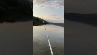 Beautiful Quaker Lake shrots fishing Allegany State Park [upl. by Oterol]